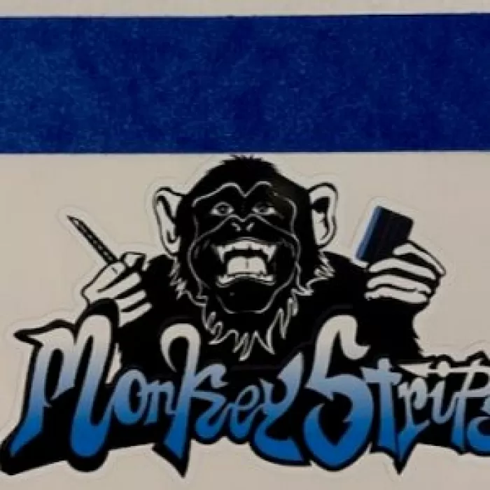 Филц за ракели Monkey Strips Blue | 3.00 лв. / 1.53 &euro;